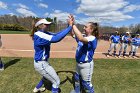 Softball vs Springfield  Wheaton College Softball vs Springfield College. - Photo by: KEITH NORDSTROM : Wheaton, Baseball